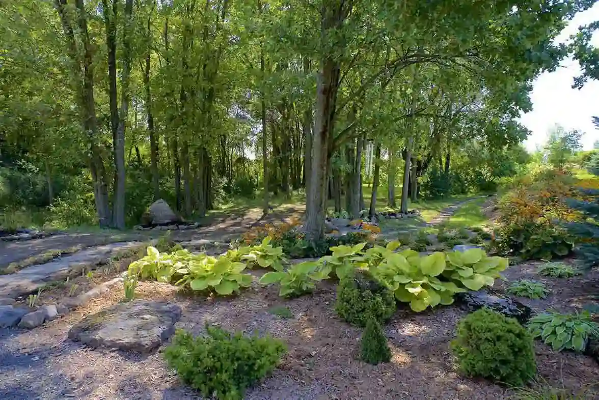 Protocoles funéraires