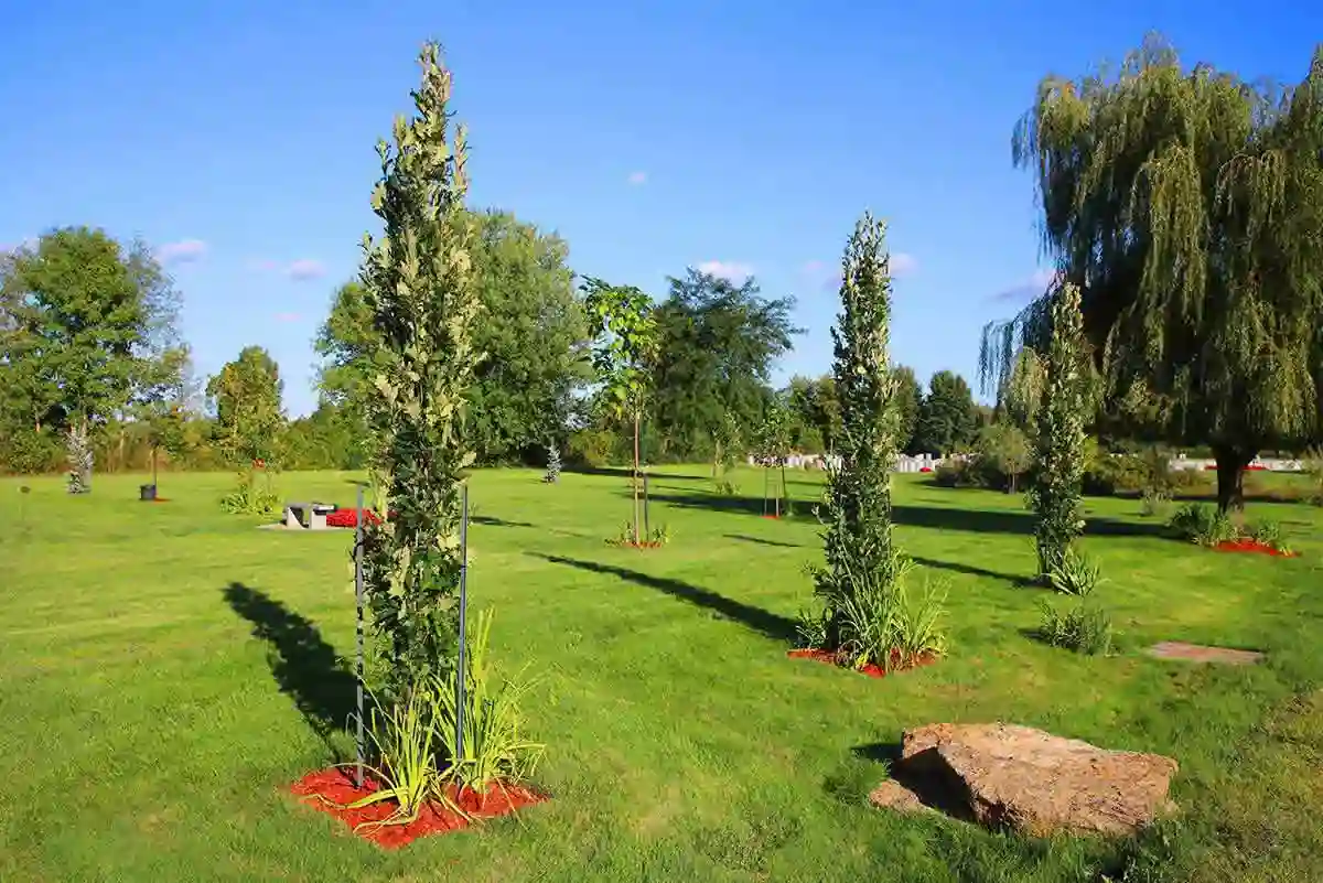 Protocoles funéraires