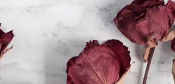 Arrangements funéraires