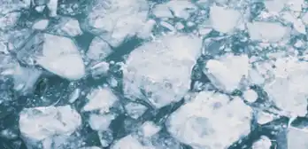 Service de cryogénisation