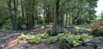 Protocoles funéraires