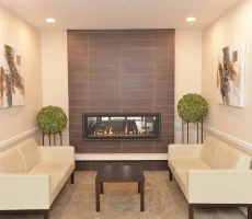 10_03Magnus-Poirier-viau-salondahlia4