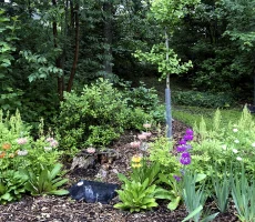 13_5Magnus-Poirier-Les-Sentiers-nature3