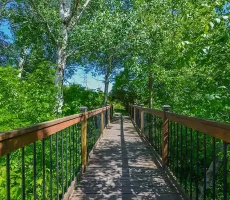 18_5Magnus-Poirier-Les-Sentiers-nature8